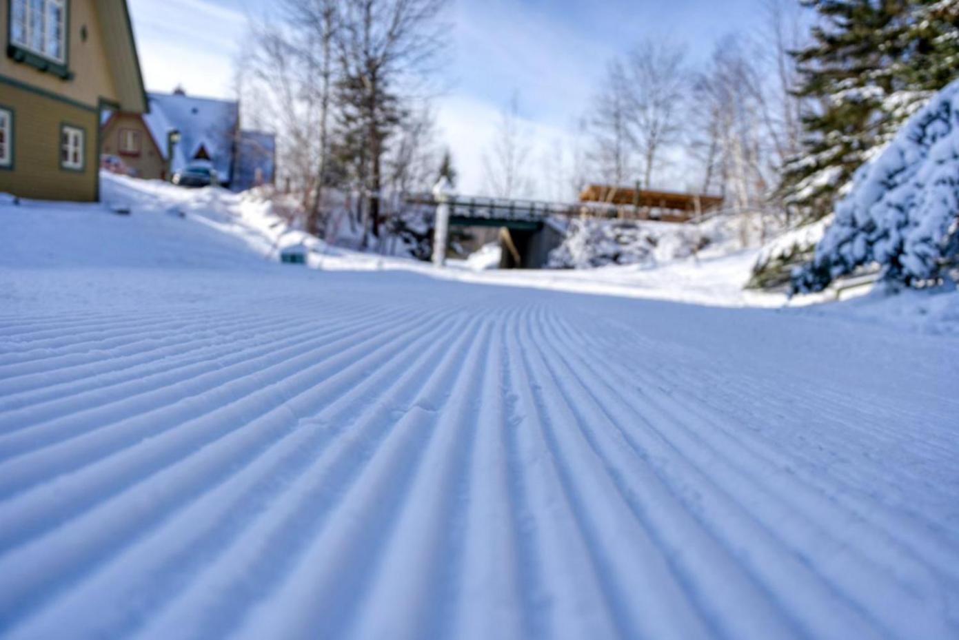 شقة Le Plateau By Tremblant Vacations مونت تريمبلانت المظهر الخارجي الصورة